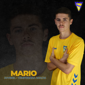 3. MARIO